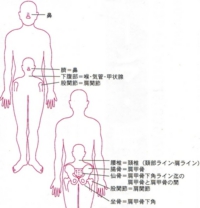おなかと顔の相関図