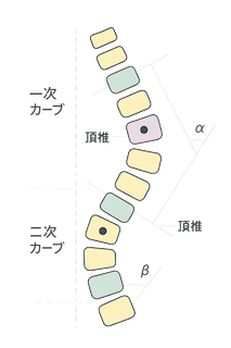 コブ法