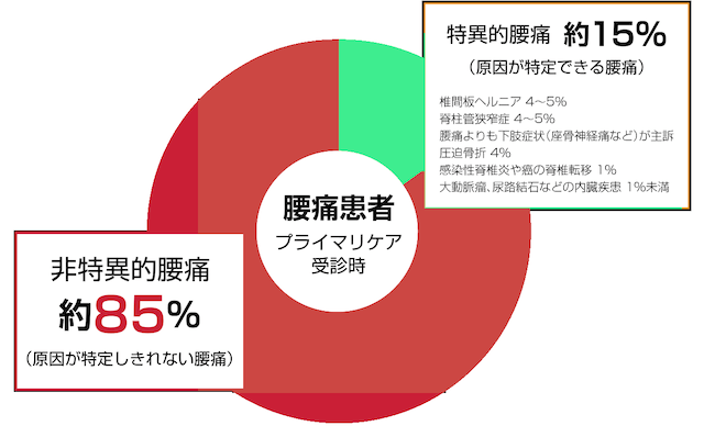 原因がわからない腰痛が多い
